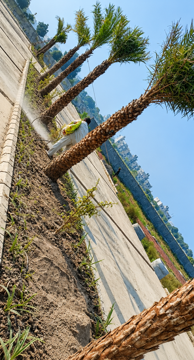 Green Grass Landscape Contractor in Manesar