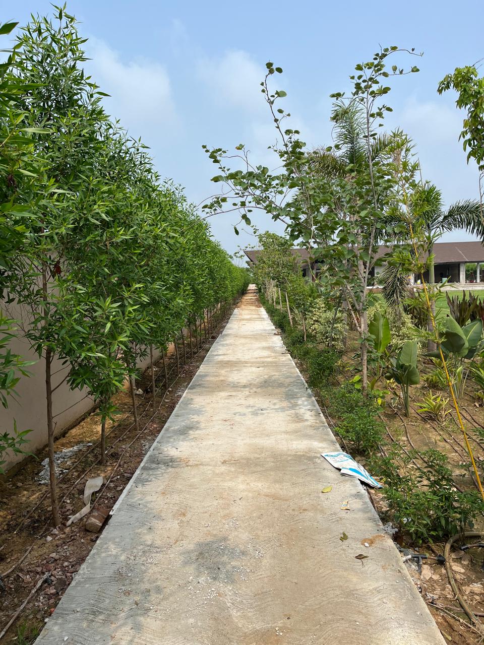 How to Choose the Right Landscape Contractor in Manesar