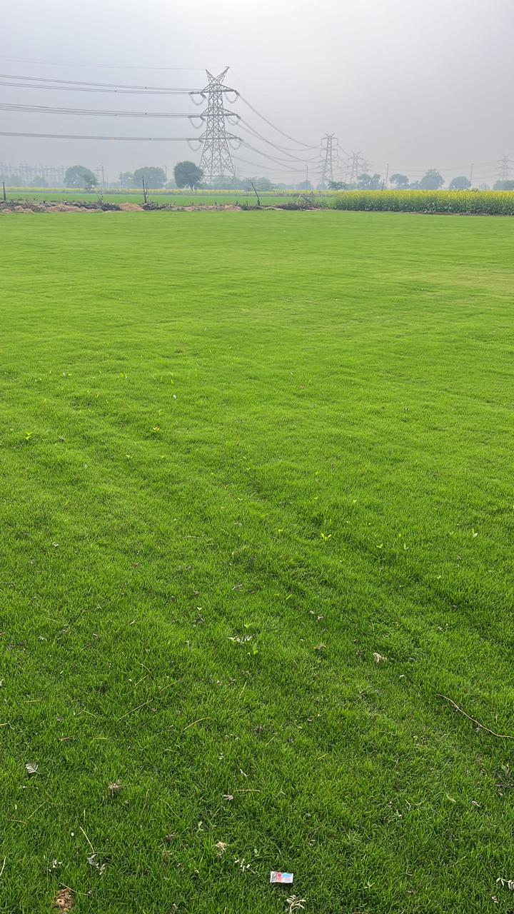 Landscape Contracting Process and Delivery in Manesar